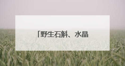 野生石斛、水晶兰，云南这个自然保护区发现2种珍稀野生植物