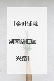 金叶铺就湖南桑植振兴路