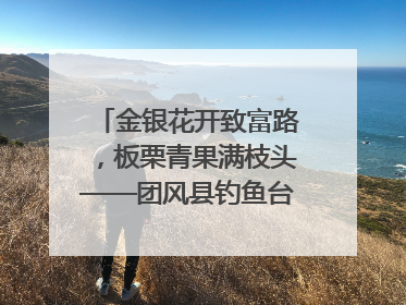 金银花开致富路，板栗青果满枝头——团风县钓鱼台村“山水生金”谱写共富新篇章
