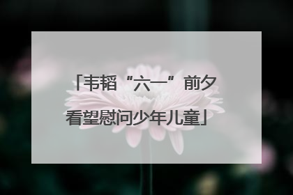 韦韬“六一”前夕看望慰问少年儿童