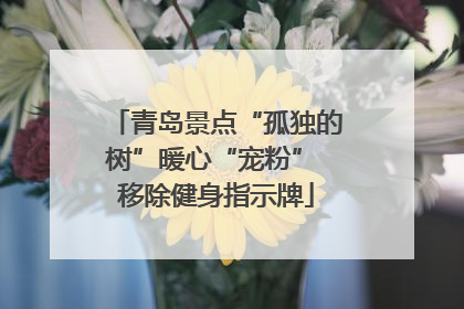 青岛景点“孤独的树”暖心“宠粉” 移除健身指示牌
