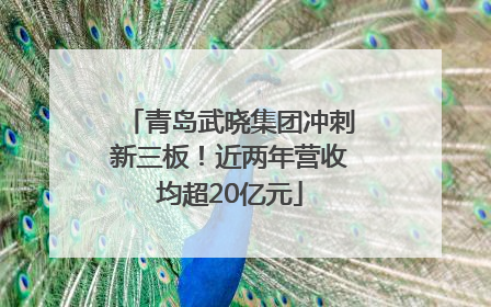青岛武晓集团冲刺新三板！近两年营收均超20亿元