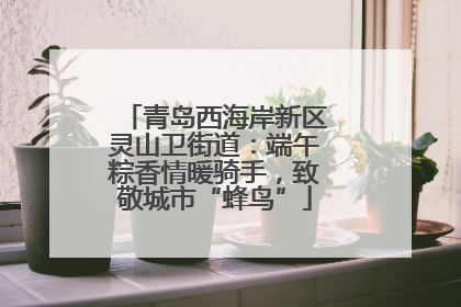 青岛西海岸新区灵山卫街道：端午粽香情暖骑手，致敬城市“蜂鸟”