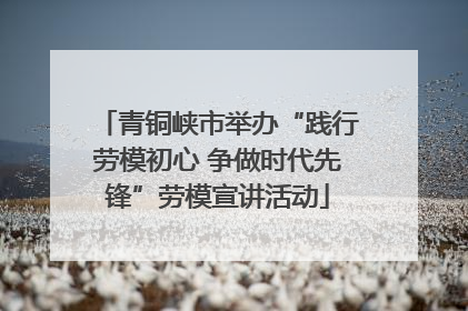 青铜峡市举办“践行劳模初心 争做时代先锋”劳模宣讲活动