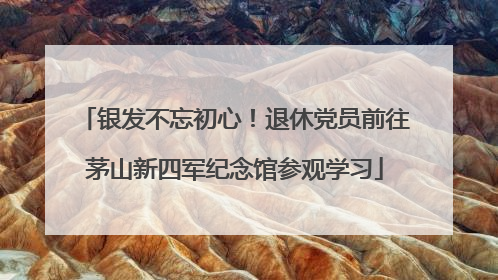 银发不忘初心！退休党员前往茅山新四军纪念馆参观学习