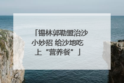 锡林郭勒盟治沙小妙招 给沙地吃上“营养餐”