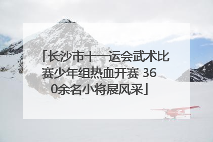 长沙市十一运会武术比赛少年组热血开赛 360余名小将展风采