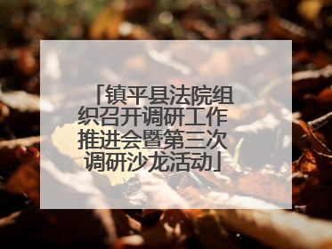 镇平县法院组织召开调研工作推进会暨第三次调研沙龙活动