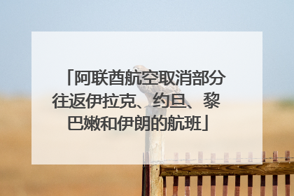 阿联酋航空取消部分往返伊拉克、约旦、黎巴嫩和伊朗的航班