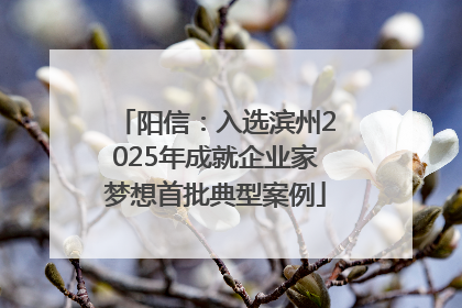 阳信：入选滨州2025年成就企业家梦想首批典型案例