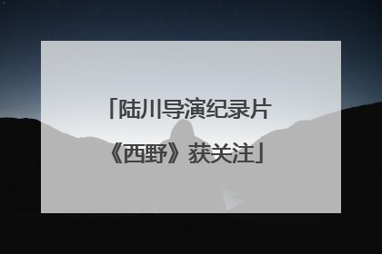 陆川导演纪录片《西野》获关注