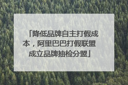 降低品牌自主打假成本，阿里巴巴打假联盟成立品牌抽检分盟