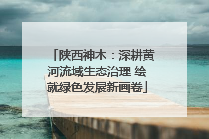 陕西神木：深耕黄河流域生态治理 绘就绿色发展新画卷