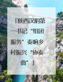 陕西汉阴第一书记“组团服务”奏响乡村振兴“协奏曲”