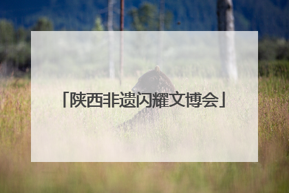 陕西非遗闪耀文博会
