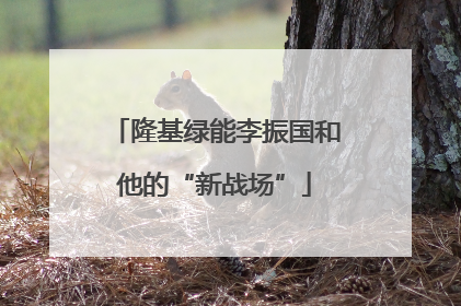 隆基绿能李振国和他的“新战场”