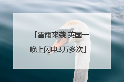 雷雨来袭 英国一晚上闪电3万多次