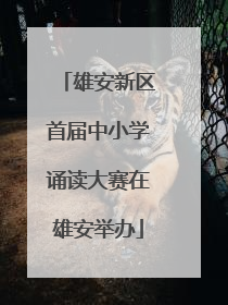 雄安新区首届中小学诵读大赛在雄安举办