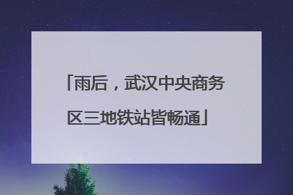 雨后，武汉中央商务区三地铁站皆畅通