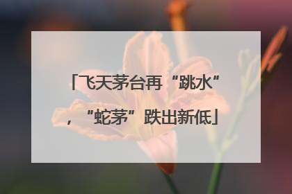 飞天茅台再“跳水”，“蛇茅”跌出新低