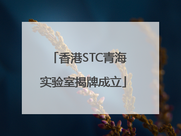 香港STC青海实验室揭牌成立