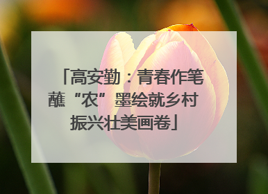 高安勤：青春作笔蘸“农”墨绘就乡村振兴壮美画卷