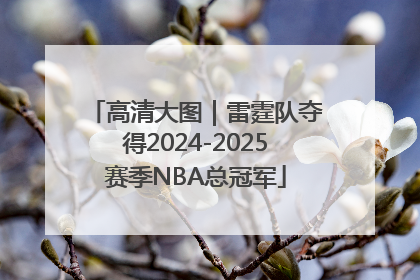 高清大图｜雷霆队夺得2024-2025赛季NBA总冠军