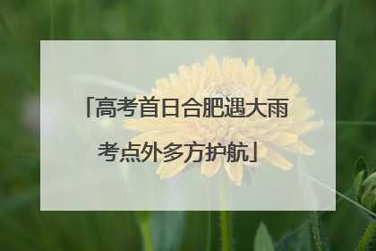 高考首日合肥遇大雨 考点外多方护航