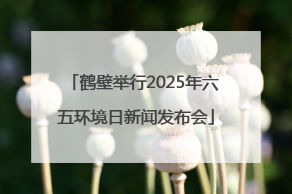 鹤壁举行2025年六五环境日新闻发布会