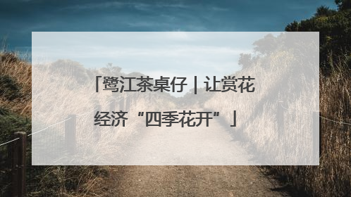 鹭江茶桌仔｜让赏花经济“四季花开”