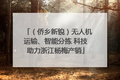 （侨乡新貌）无人机运输、智能分拣 科技助力浙江杨梅产销