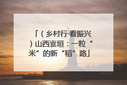 （乡村行·看振兴）山西襄垣：一粒“米”的新“稻”路