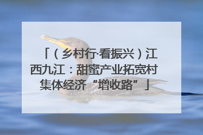 （乡村行·看振兴）江西九江：甜蜜产业拓宽村集体经济“增收路”