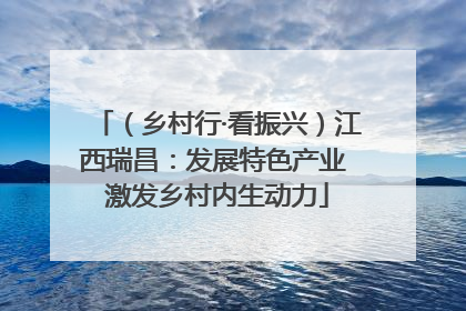 （乡村行·看振兴）江西瑞昌：发展特色产业 激发乡村内生动力