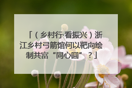 （乡村行·看振兴）浙江乡村弓箭馆何以靶向绘制共富“同心圆”？