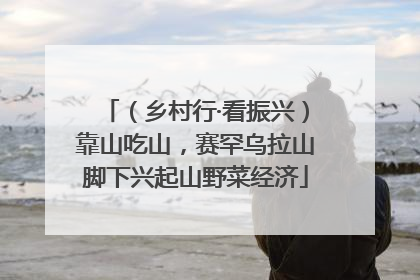 （乡村行·看振兴）靠山吃山，赛罕乌拉山脚下兴起山野菜经济