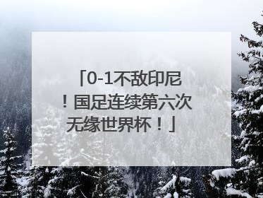 0-1不敌印尼！国足连续第六次无缘世界杯！