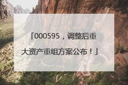 000595，调整后重大资产重组方案公布！