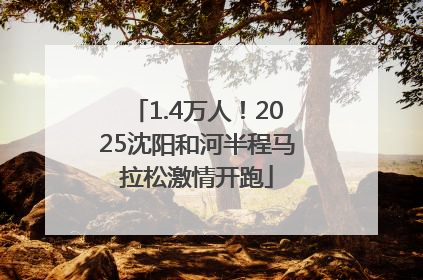 1.4万人！2025沈阳和河半程马拉松激情开跑