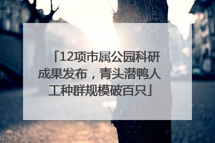 12项市属公园科研成果发布，青头潜鸭人工种群规模破百只