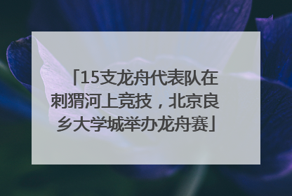 15支龙舟代表队在刺猬河上竞技，北京良乡大学城举办龙舟赛