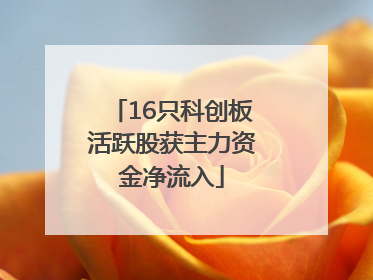 16只科创板活跃股获主力资金净流入