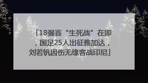 18强赛“生死战”在即，国足25人出征雅加达，刘若钒因伤无缘客战印尼