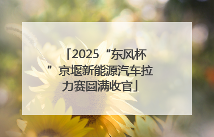 2025“东风杯”京堰新能源汽车拉力赛圆满收官