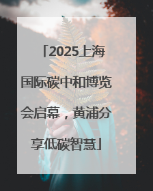 2025上海国际碳中和博览会启幕，黄浦分享低碳智慧