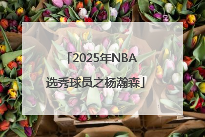 2025年NBA选秀球员之杨瀚森