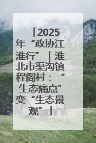 2025年“政协江淮行”｜淮北市渠沟镇程阁村：“生态痛点”变“生态景观”