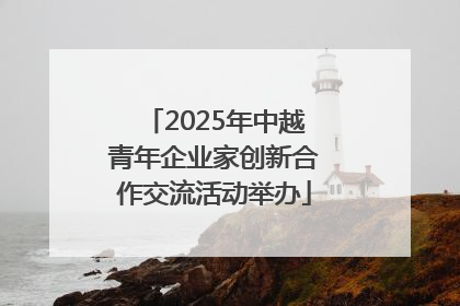 2025年中越青年企业家创新合作交流活动举办