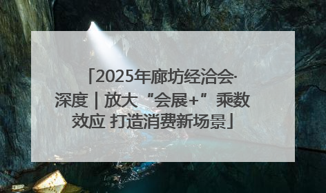 2025年廊坊经洽会·深度｜放大“会展+”乘数效应 打造消费新场景