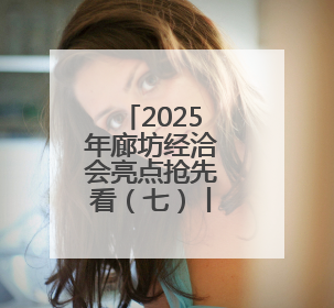 2025年廊坊经洽会亮点抢先看（七）丨商贸物流领域一批标志性成果将集中发布